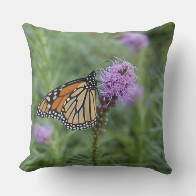 Monarch Butterfly Cushion (Front)