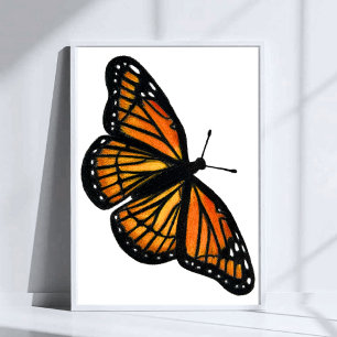 Monarch Butterfly Drawing Coloured Pencil Art Poster