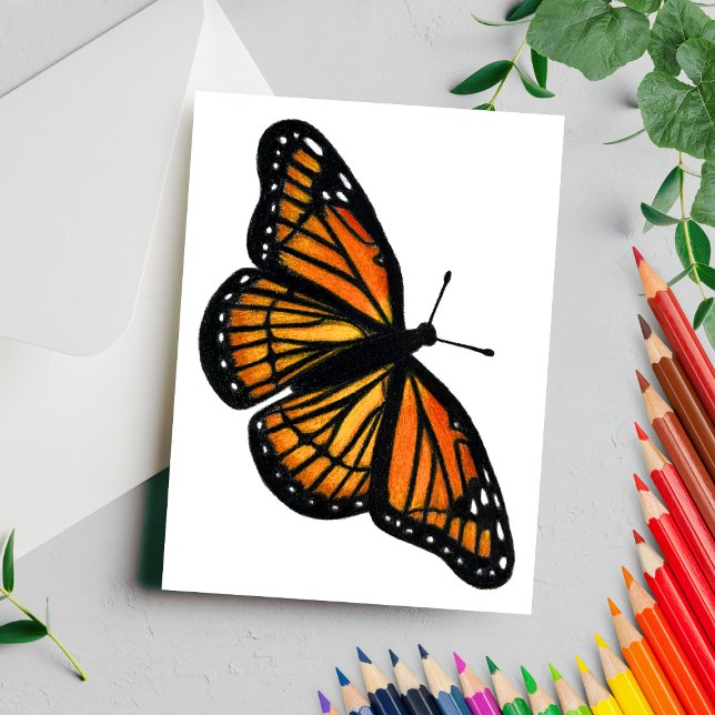 Monarch Butterfly Drawing Coloured Pencil Postcard (Creator Uploaded)