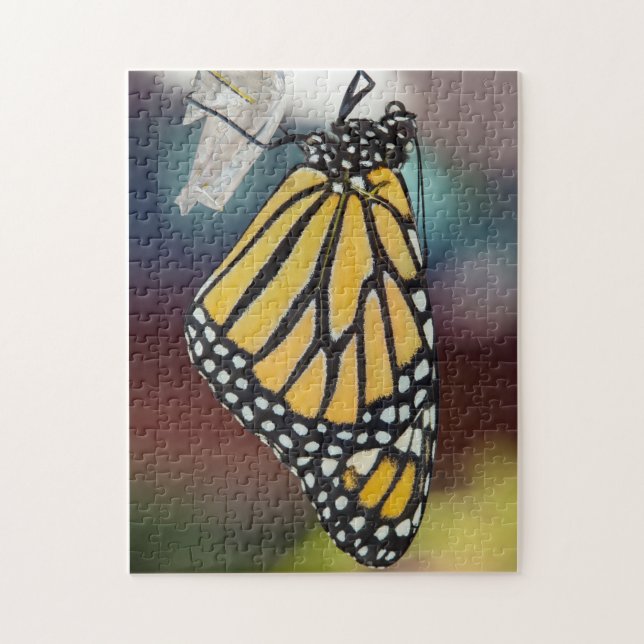 Monarch Butterfly Drying Wings Puzzle (Vertical)
