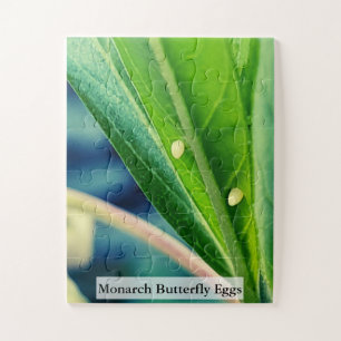 Monarch Butterfly Eggs 30Pcs Jigsaw Puzzle