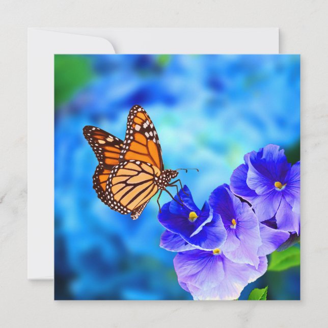 Monarch Butterfly Endangered Wildlife Hi-Def Card (Front)