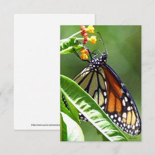 Monarch Butterfly Flat Thank You Card