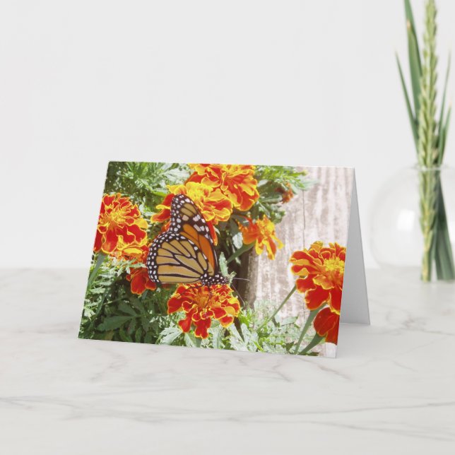 "Monarch Butterfly" Get Well Card #1 (Front)