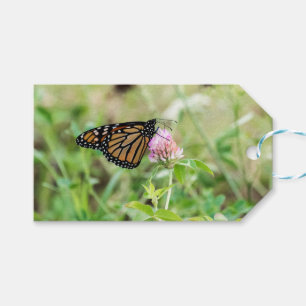 Monarch Butterfly Gift Tags