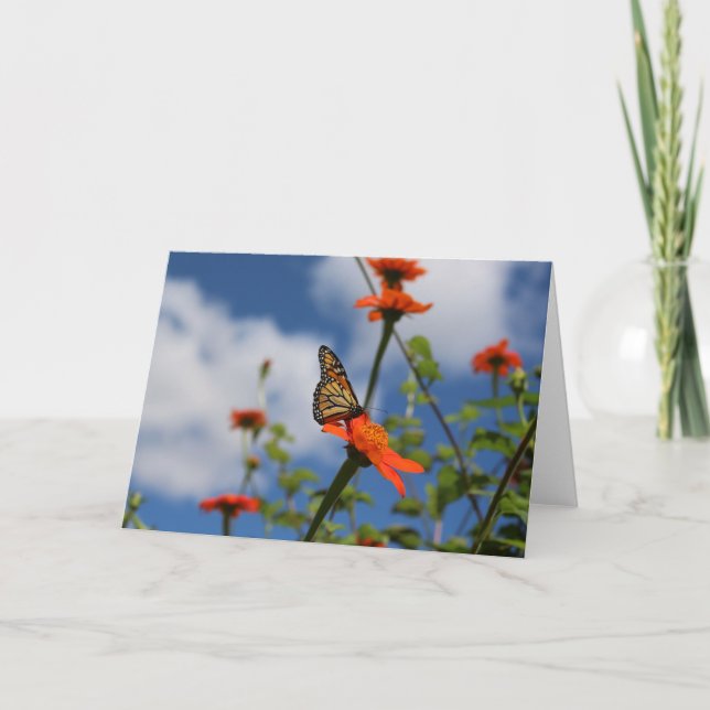 Monarch butterfly greeting card (Front)