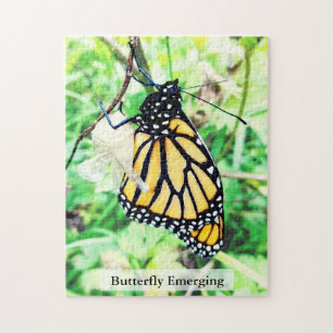 Monarch Butterfly Hatching 252Pcs Jigsaw Puzzle