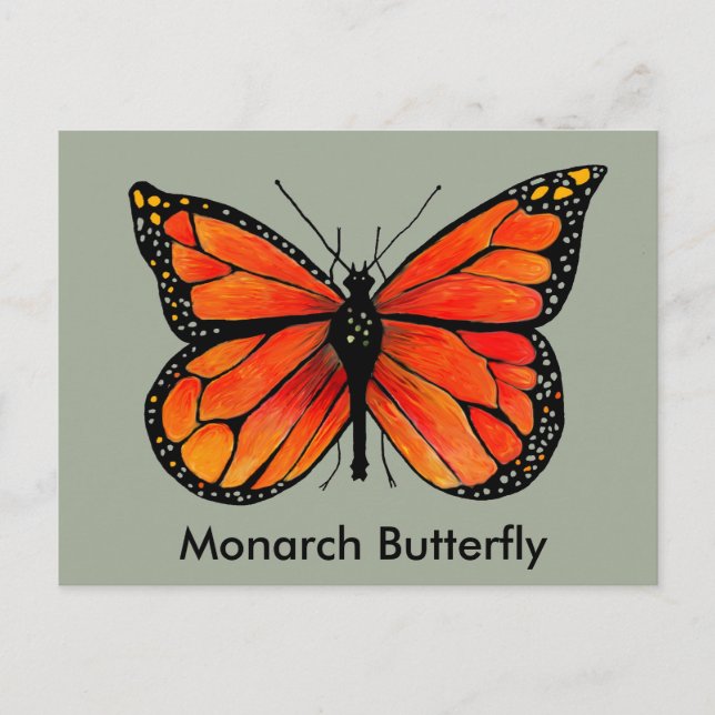 Monarch Butterfly Illustration on Postcard (Front)