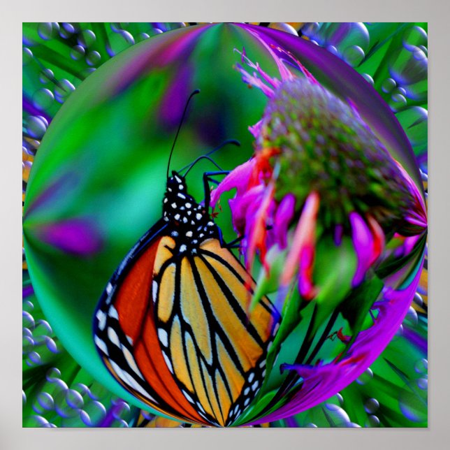 Monarch Butterfly In A Bubble Abstract Nature Art Poster (Front)
