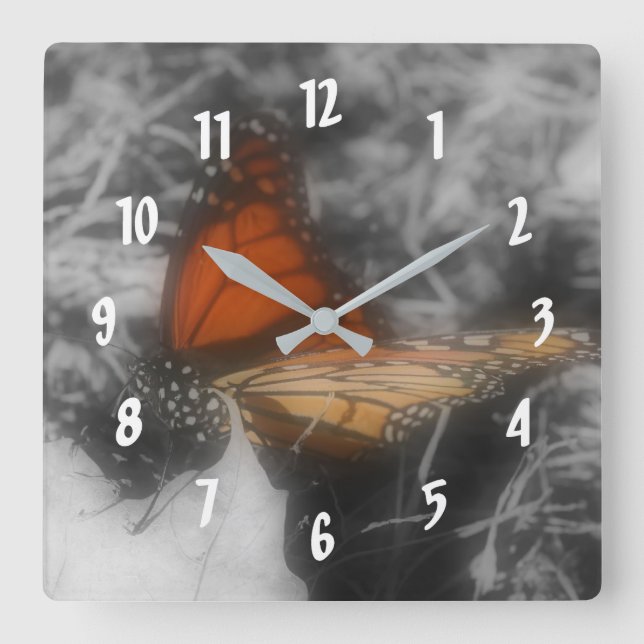 Monarch Butterfly In Black And White Nature Square Wall Clock (Front)