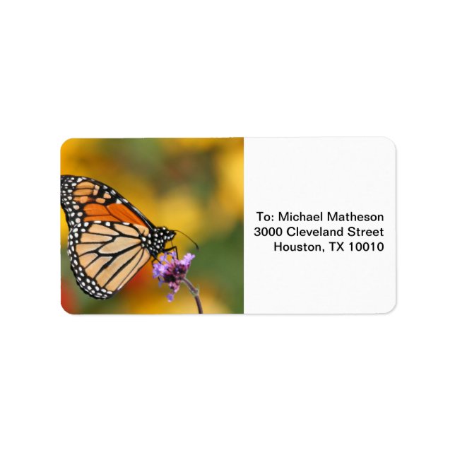 Monarch Butterfly In Search of Pollen Label (Front)