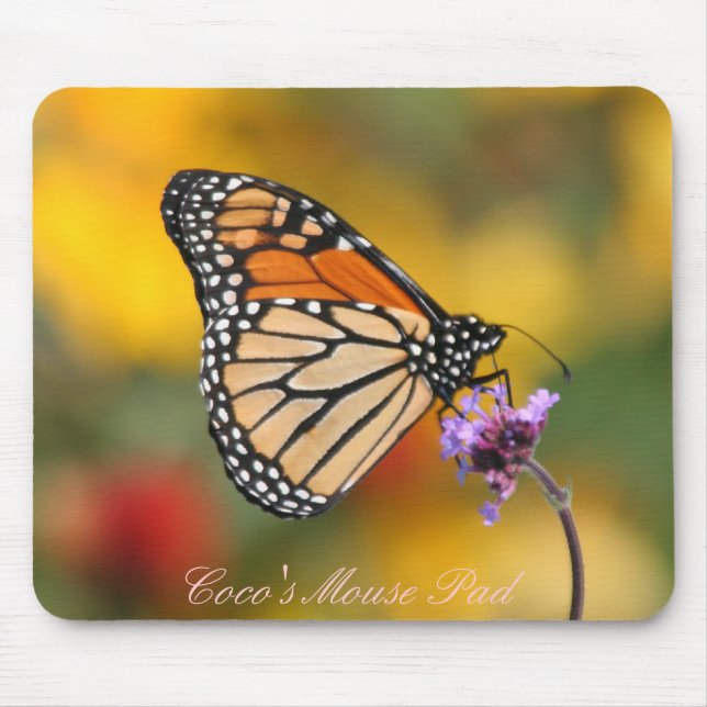 Monarch Butterfly In Search of Pollen Mouse Mat (Front)