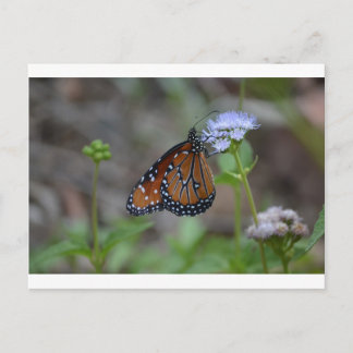 Monarch Butterfly in the butterfly series by LellO Postcard