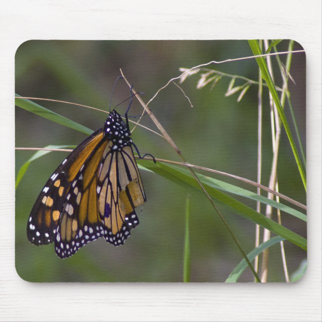 Monarch Butterfly in the Grass Mouse Mat (Front)
