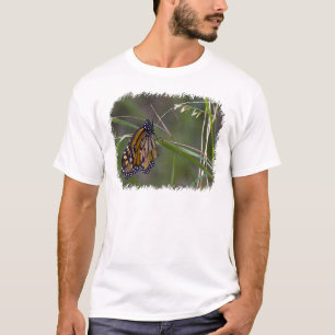 Monarch Butterfly in the Grass T-Shirt