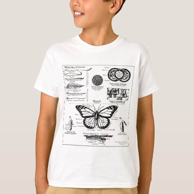 Monarch Butterfly Information T-Shirt (Front)
