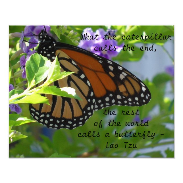 Monarch Butterfly Inspirational Quote Poster (Front)