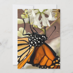 Monarch Butterfly Invitation