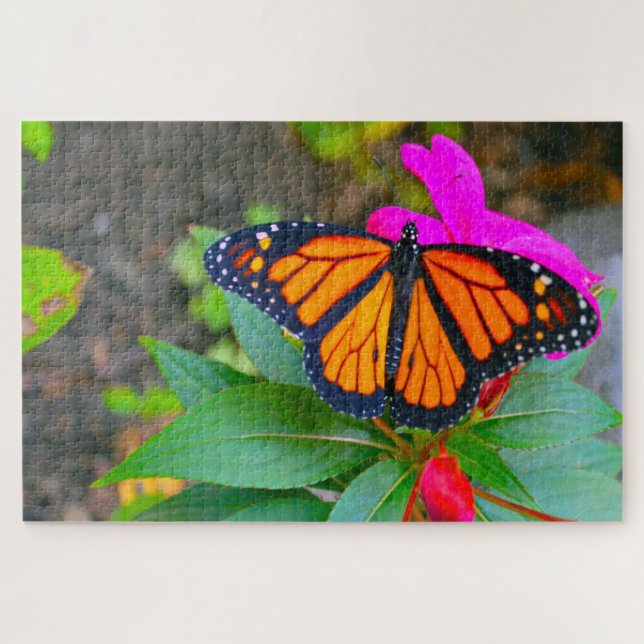 Monarch Butterfly. Jigsaw Puzzle (Horizontal)