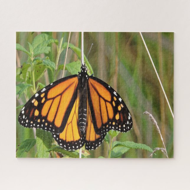 Monarch Butterfly. Jigsaw Puzzle (Horizontal)
