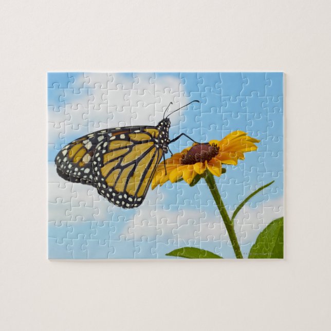 Monarch Butterfly Jigsaw Puzzle (Horizontal)
