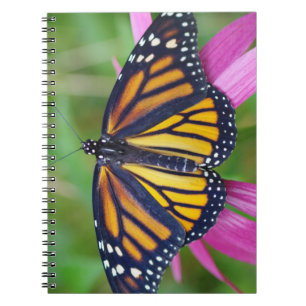 Monarch Butterfly Journal