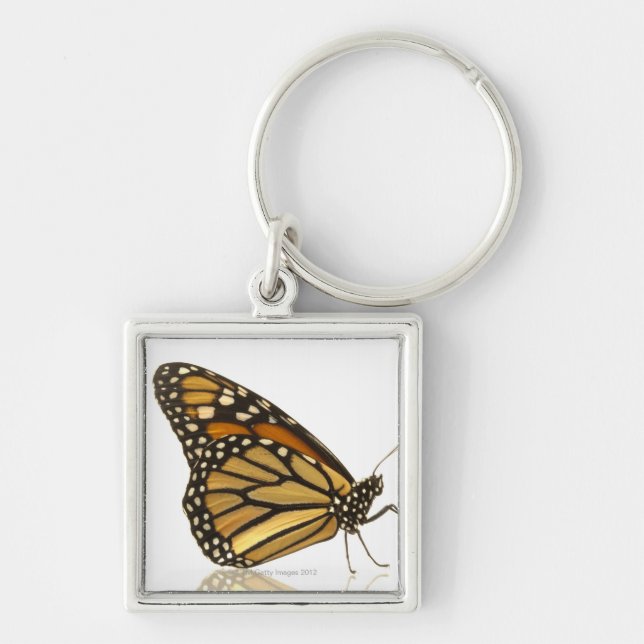 Monarch butterfly key ring (Front)