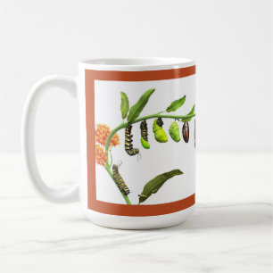 Monarch butterfly lifecycle coffee mug