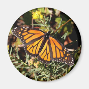 Monarch butterfly magnet