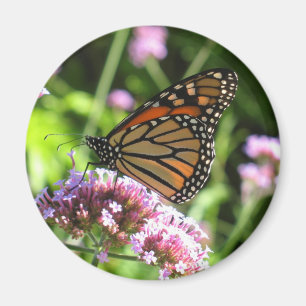 Monarch Butterfly Magnet