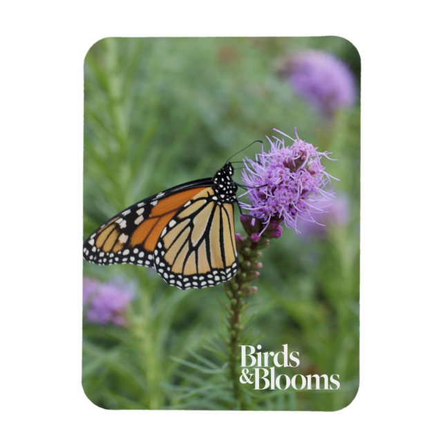 Monarch Butterfly Magnet (Vertical)