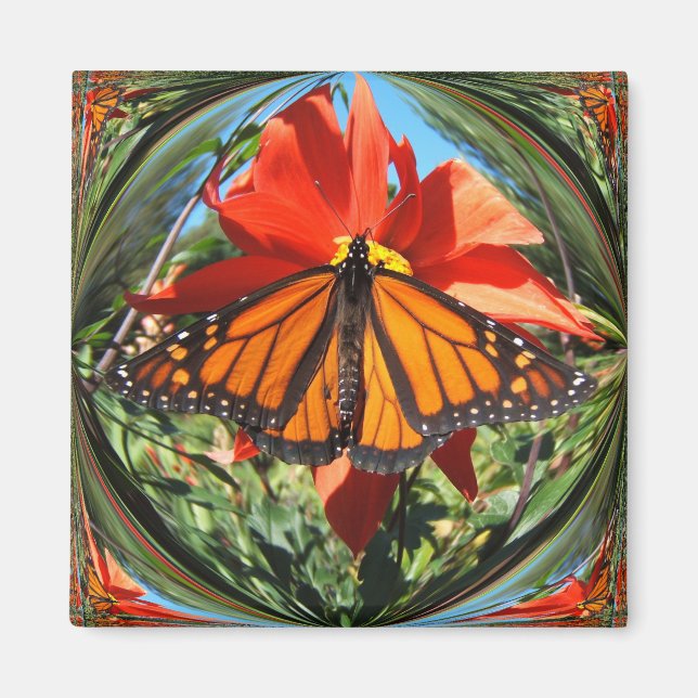 Monarch butterfly ~ magnet (Front)