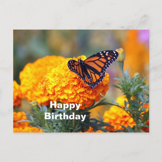 Monarch Butterfly Marigold Photo Birthday Postcard (Front)