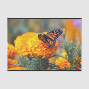 Monarch Butterfly Marigold Photo Tissue Paper