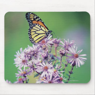 Monarch Butterfly Mouse Mat