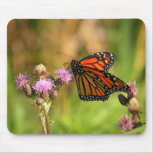 Monarch Butterfly Mouse Mat
