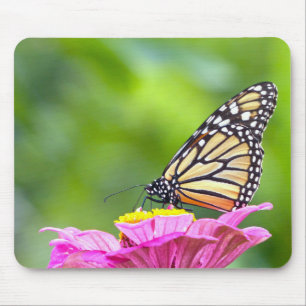 Monarch Butterfly Mouse Mat
