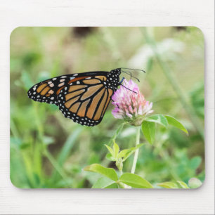 Monarch Butterfly Mouse Mat