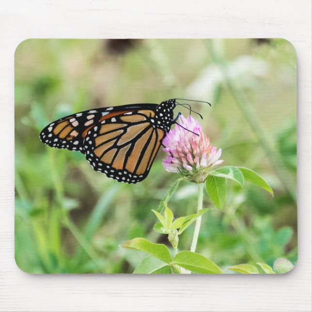 Monarch Butterfly Mouse Mat (Front)