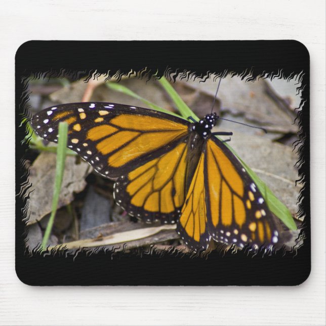 Monarch Butterfly Mouse Mat (Front)