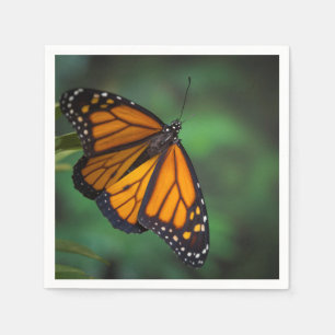 Monarch Butterfly Napkin