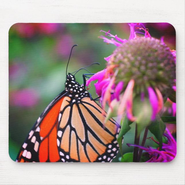 Monarch Butterfly Nature Mouse Mat (Front)