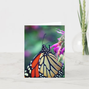 Monarch Butterfly Nature Photography  Note Card