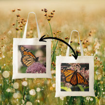 Monarch Butterfly Nature Photography Wildflower