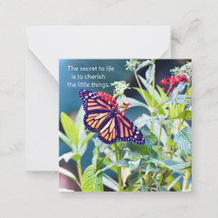 Monarch Butterfly notecards