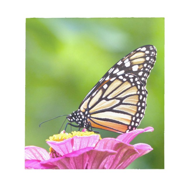 Monarch Butterfly Notepad (Front)