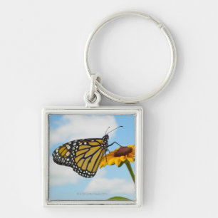 Monarch Butterfly on a Black Eyed Susan Key Ring