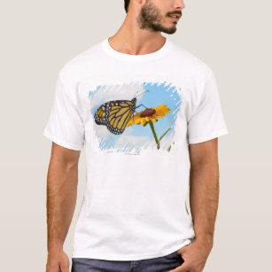 Monarch Butterfly on a Black Eyed Susan T-Shirt