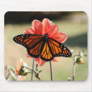 Monarch Butterfly on a Dahlia Mouse Mat