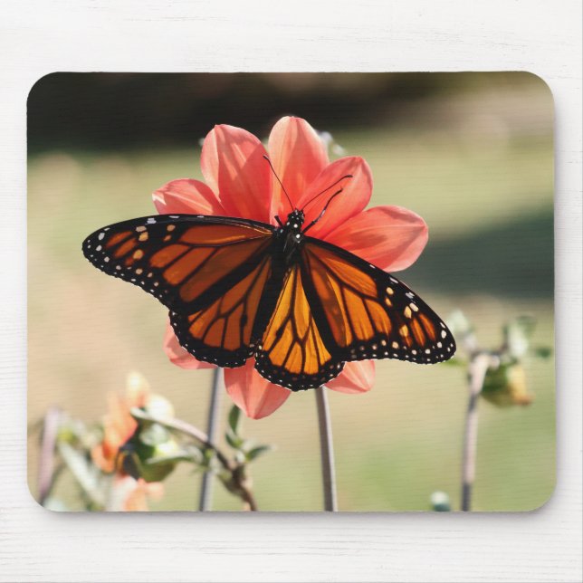 Monarch Butterfly on a Dahlia Mouse Mat (Front)